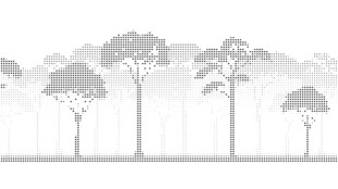 简约森林树木剪影