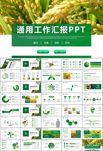 水稻农田农业种植大米PPT模板