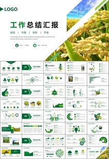 水稻农田农业种植大米PPT模板