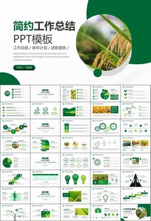水稻农田农业种植大米PPT模板