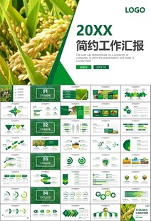 水稻农田农业种植大米PPT模板