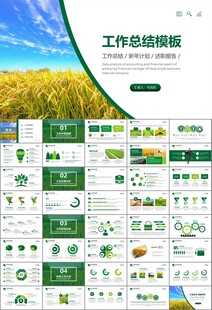 水稻农田农业种植大米PPT模板