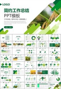 水稻农田农业种植大米PPT模板