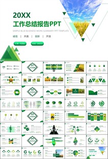 水稻农田农业种植大米PPT模板