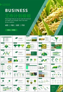 水稻农田农业种植大米PPT模板