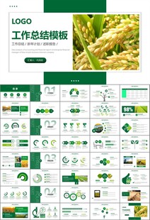 水稻农田农业种植大米PPT模板