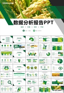 水稻农田农业种植大米PPT模板