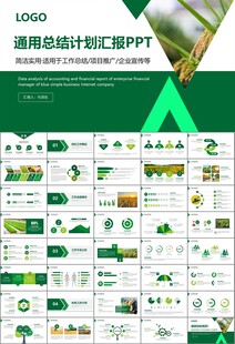 水稻农田农业种植大米PPT模板