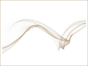 飘逸线条艺术图案