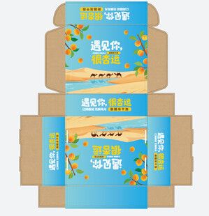 吊干杏包装盒 飞机盒展示