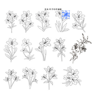 百合花卉线稿图案设计素材