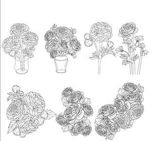 手绘花卉插画集合