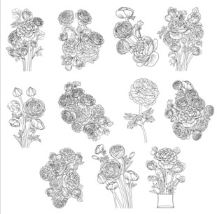 手绘花卉图案集合