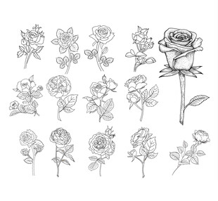 手绘玫瑰花图案设计素材