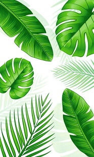 雾气磨砂膜效果绿植贴图