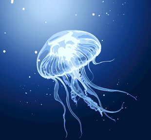 梦幻水母在深海中漂浮