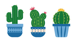 卡通仙人掌仙人球