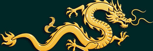 金色祥龙图案