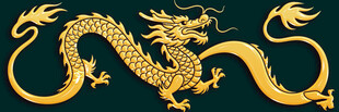 金色中国龙图案