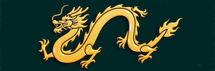 金色祥龙图案