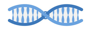 双螺旋DNA结构图标