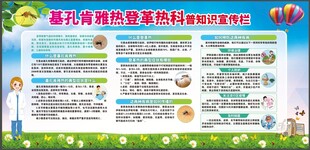 基孔肯雅热和登革热健康宣传海报