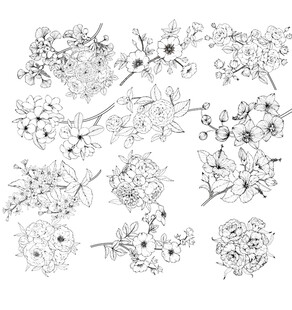 手绘花卉图案集合