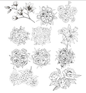 手绘花卉图案集合