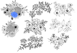 手绘花卉植物图案集合