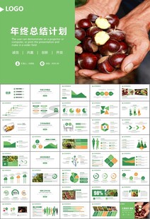 营养美食美味板栗种植宣传PPT