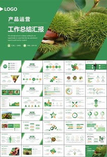 营养美食美味板栗种植宣传PPT