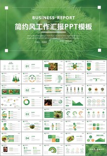 营养美食美味板栗种植宣传PPT