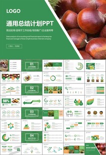 营养美食美味板栗种植宣传PPT