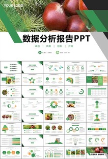 营养美食美味板栗种植宣传PPT