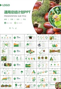 营养美食美味板栗种植宣传PPT