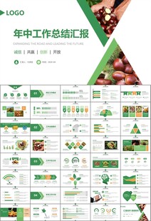 营养美食美味板栗种植宣传PPT