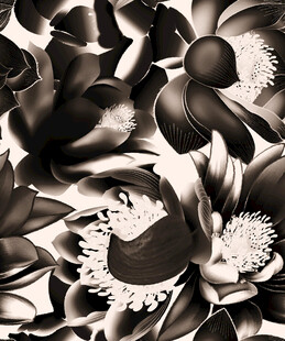 黑白花卉图案纹理