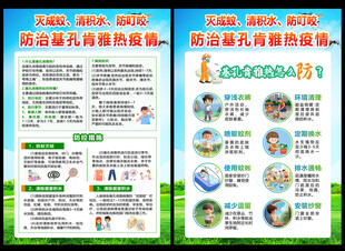 基孔肯雅热宣传单