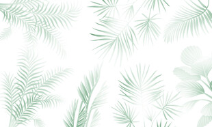 热带雨林植物背景墙