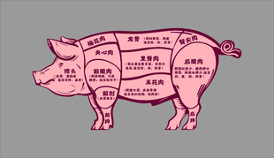 猪的身体部位分割示意图