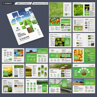 农产品宣传册