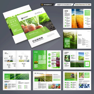 农产品宣传册
