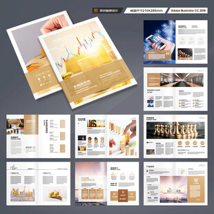 投资宣传册