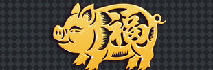 金色福猪图案