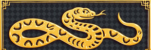 金色盘绕蛇形图案