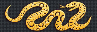 金色立体双蛇图案设计
