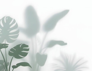 雾气磨砂膜效果绿植贴图