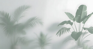 雾气磨砂膜效果绿植贴图