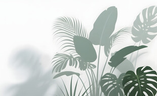 雾气磨砂膜效果绿植贴图