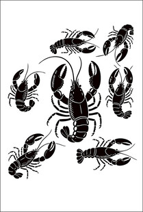 手绘风格小龙虾图案集合